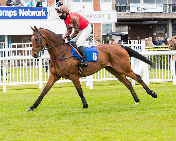 Race 1 - PPSA Open Hunter Steeple Chase (23 of 68)