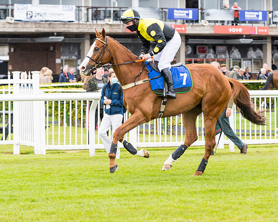 Race 1 - PPSA Open Hunter Steeple Chase (24 of 68)