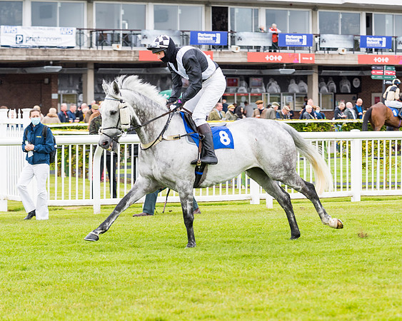 Race 1 - PPSA Open Hunter Steeple Chase (25 of 68)
