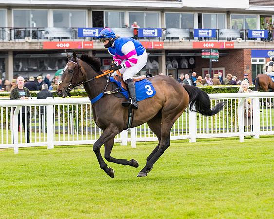 Race 1 - PPSA Open Hunter Steeple Chase (27 of 68)