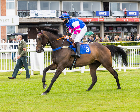 Race 1 - PPSA Open Hunter Steeple Chase (28 of 68)