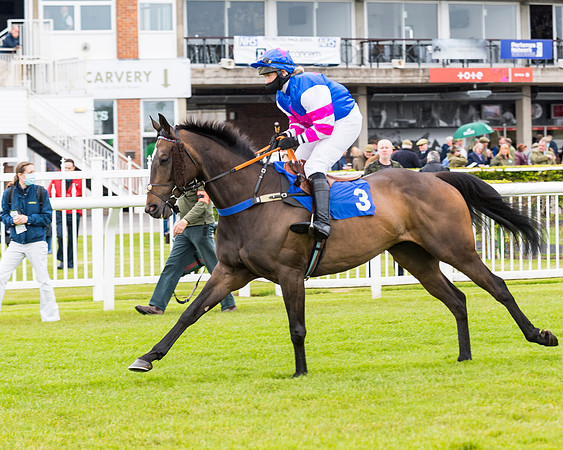 Race 1 - PPSA Open Hunter Steeple Chase (29 of 68)