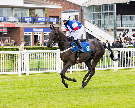 Race 1 - PPSA Open Hunter Steeple Chase (30 of 68)