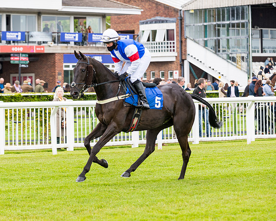 Race 1 - PPSA Open Hunter Steeple Chase (31 of 68)