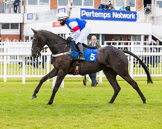 Race 1 - PPSA Open Hunter Steeple Chase (32 of 68)