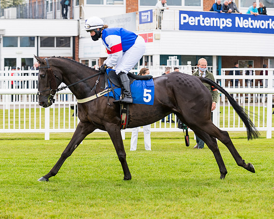 Race 1 - PPSA Open Hunter Steeple Chase (33 of 68)