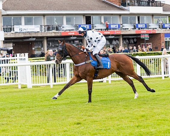 Race 1 - PPSA Open Hunter Steeple Chase (34 of 68)