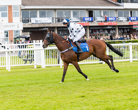 Race 1 - PPSA Open Hunter Steeple Chase (35 of 68)