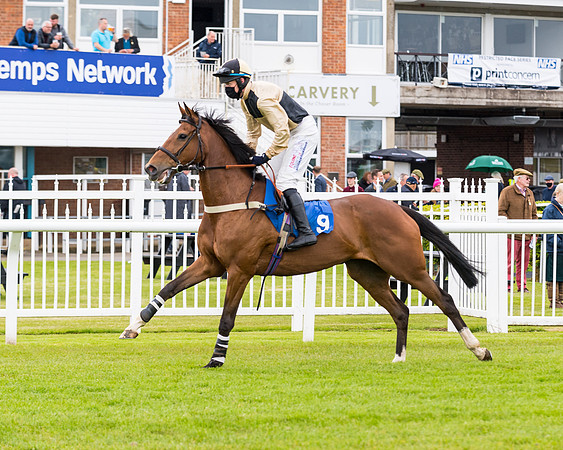 Race 1 - PPSA Open Hunter Steeple Chase (41 of 68)