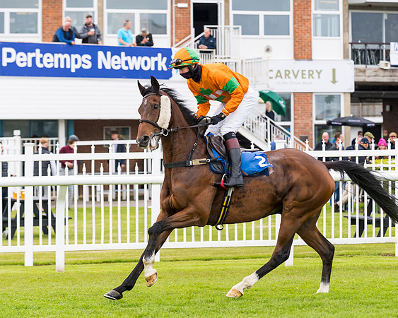 Race 1 - PPSA Open Hunter Steeple Chase (43 of 68)