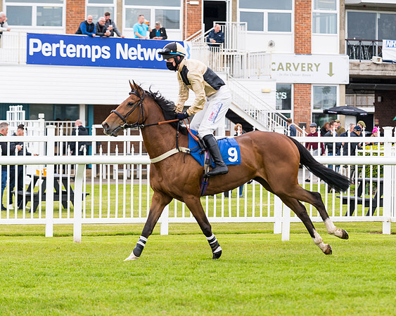 Race 1 - PPSA Open Hunter Steeple Chase (42 of 68)