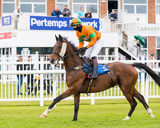 Race 1 - PPSA Open Hunter Steeple Chase (44 of 68)