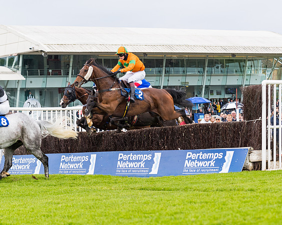 Race 1 - PPSA Open Hunter Steeple Chase (52 of 68)