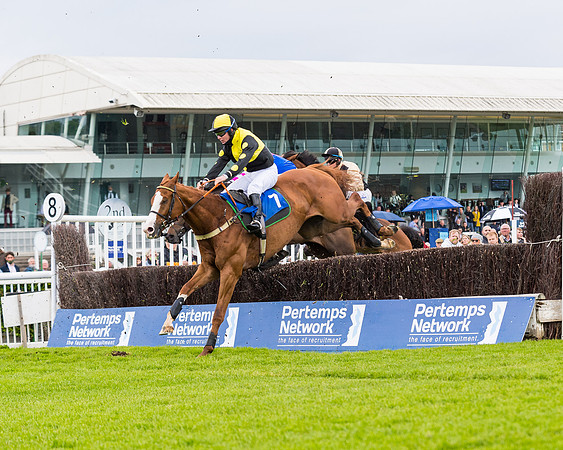 Race 1 - PPSA Open Hunter Steeple Chase (58 of 68)