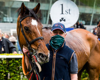 Race 3 The pointtopoint.co.ukChampion Novice Hunter Chase. For the John Corbet cup