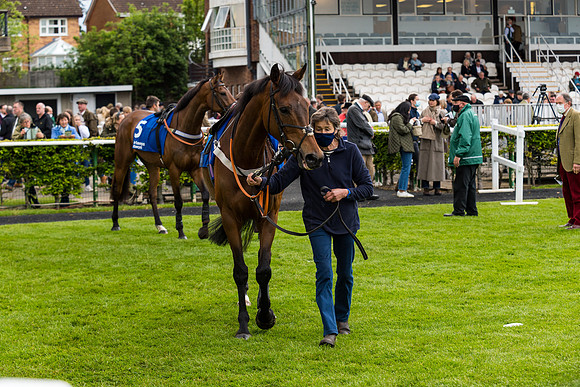 Race 4 - Pretemps Stratford Foxhunters (2 of 106)