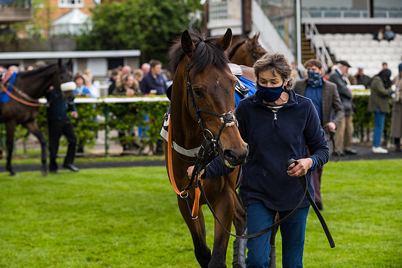 Race 4 - Pretemps Stratford Foxhunters (3 of 106)