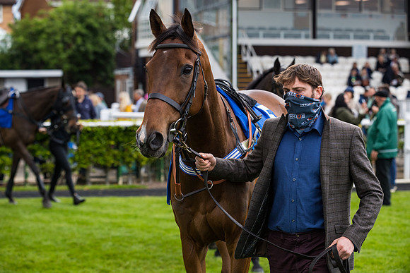 Race 4 - Pretemps Stratford Foxhunters (5 of 106)