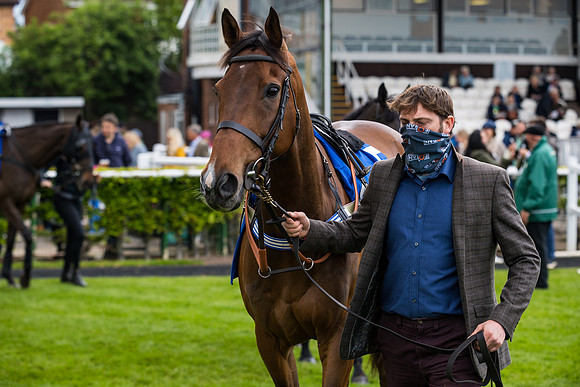 Race 4 - Pretemps Stratford Foxhunters (4 of 106)