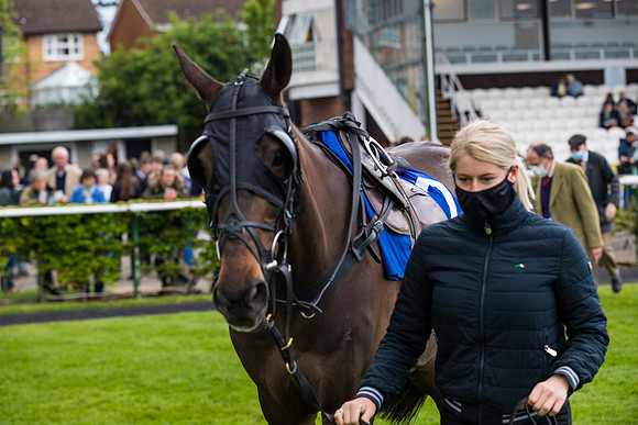 Race 4 - Pretemps Stratford Foxhunters (7 of 106)