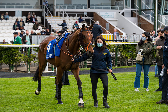 Race 4 - Pretemps Stratford Foxhunters (9 of 106)