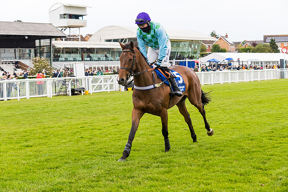 Race 4 - Pretemps Stratford Foxhunters (24 of 106)