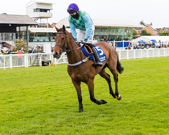 Race 4 - Pretemps Stratford Foxhunters (25 of 106)