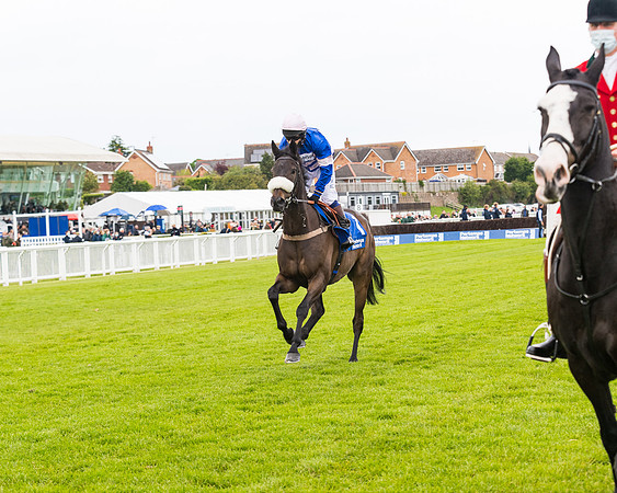 Race 4 - Pretemps Stratford Foxhunters (26 of 106)