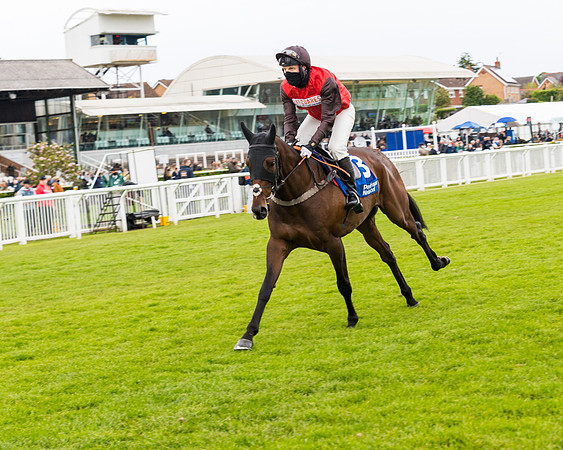 Race 4 - Pretemps Stratford Foxhunters (29 of 106)