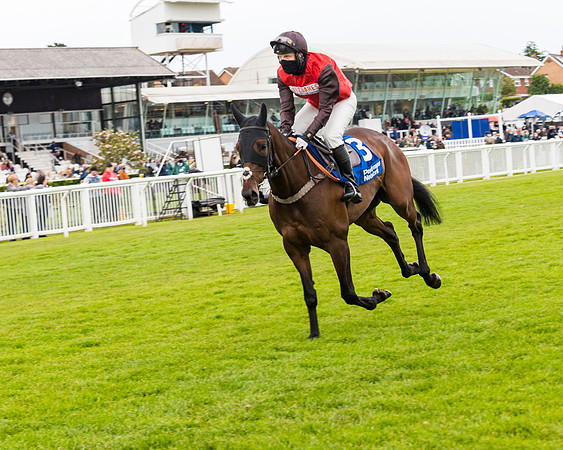 Race 4 - Pretemps Stratford Foxhunters (30 of 106)