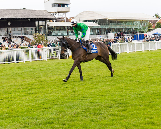 Race 4 - Pretemps Stratford Foxhunters (38 of 106)