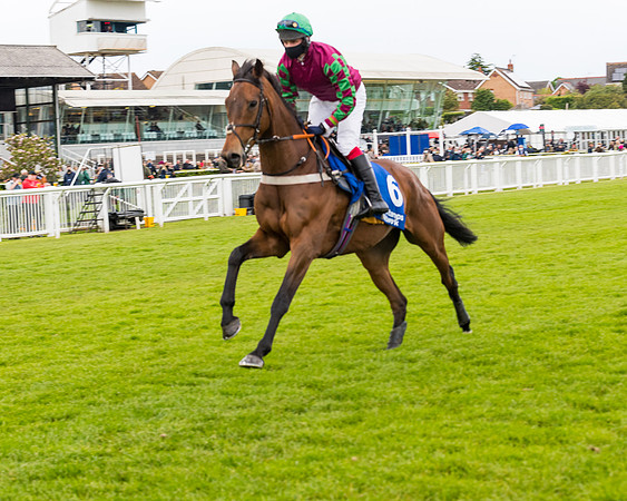 Race 4 - Pretemps Stratford Foxhunters (39 of 106)