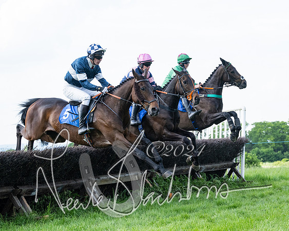 Race 5  - Maiden race 2m5F Div-2 (134 of 205)