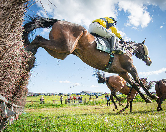 Race 6 - The sir James Shuckburgh Restricted race (44 of 85)