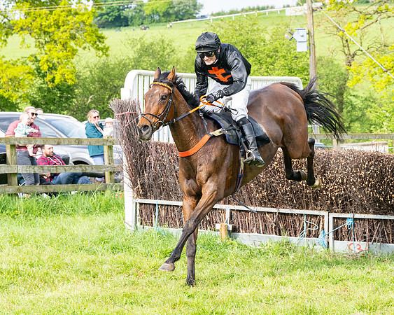 Race 5  - Novice riders (145 of 188)