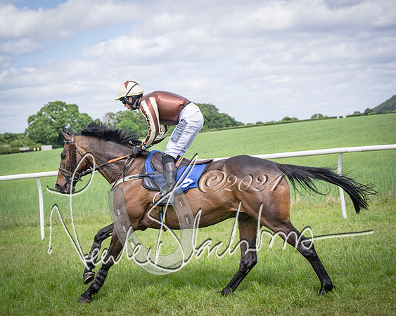 Race 1 - The owner-trainer Conditions race (26 of 118)