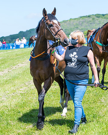 Race 1 - ORIENTAL CLUB OWNER-TRAINER CONDITIONS (1 of 144)
