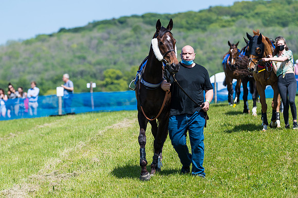 Race 1 - ORIENTAL CLUB OWNER-TRAINER CONDITIONS (2 of 144)