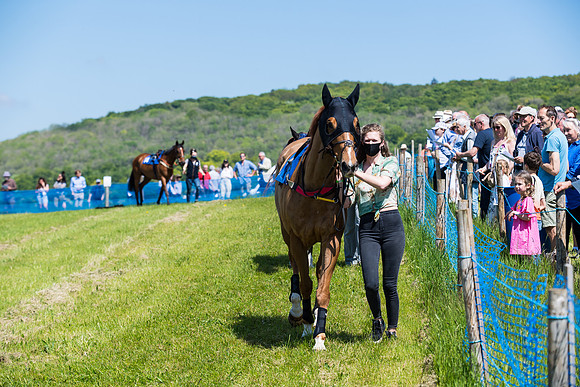 Race 1 - ORIENTAL CLUB OWNER-TRAINER CONDITIONS (4 of 144)