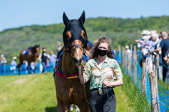 Race 1 - ORIENTAL CLUB OWNER-TRAINER CONDITIONS (5 of 144)