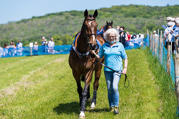 Race 1 - ORIENTAL CLUB OWNER-TRAINER CONDITIONS (9 of 144)