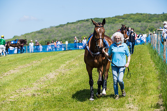 Race 1 - ORIENTAL CLUB OWNER-TRAINER CONDITIONS (10 of 144)