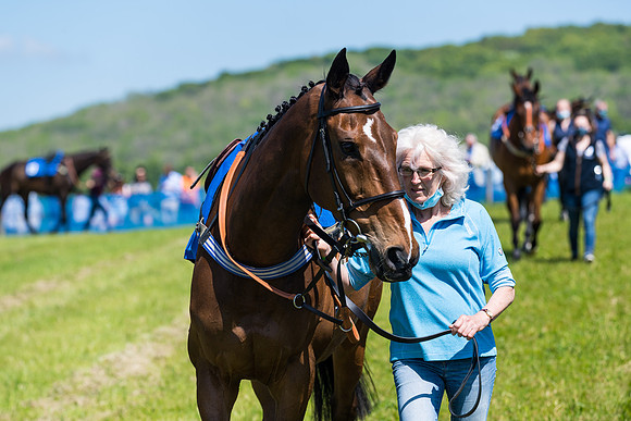Race 1 - ORIENTAL CLUB OWNER-TRAINER CONDITIONS (11 of 144)