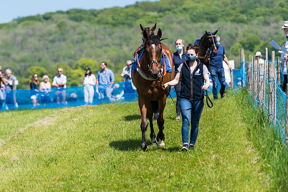Race 1 - ORIENTAL CLUB OWNER-TRAINER CONDITIONS (12 of 144)