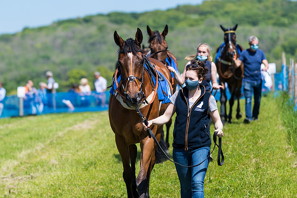Race 1 - ORIENTAL CLUB OWNER-TRAINER CONDITIONS (13 of 144)