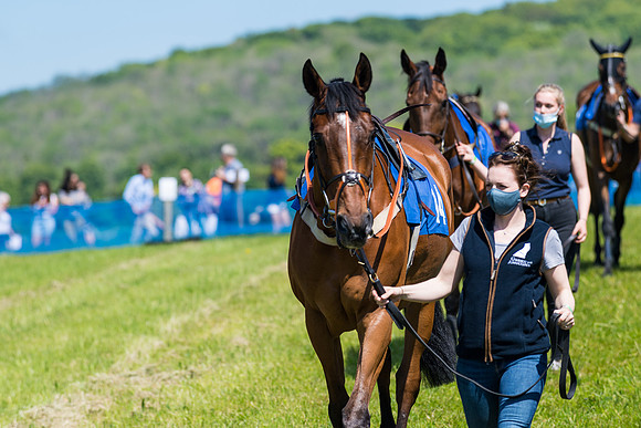 Race 1 - ORIENTAL CLUB OWNER-TRAINER CONDITIONS (14 of 144)