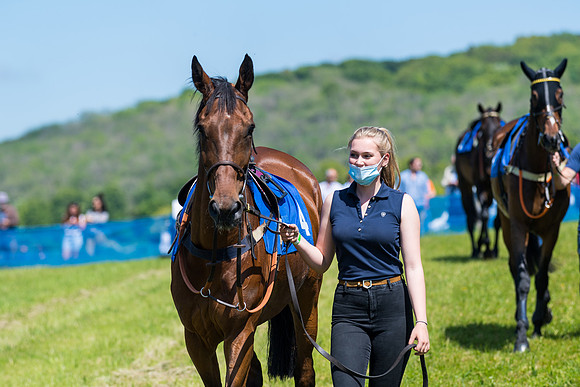 Race 1 - ORIENTAL CLUB OWNER-TRAINER CONDITIONS (15 of 144)