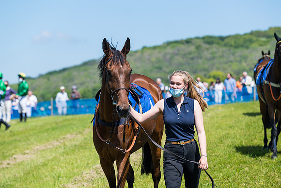Race 1 - ORIENTAL CLUB OWNER-TRAINER CONDITIONS (16 of 144)