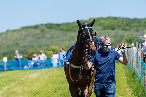 Race 1 - ORIENTAL CLUB OWNER-TRAINER CONDITIONS (17 of 144)