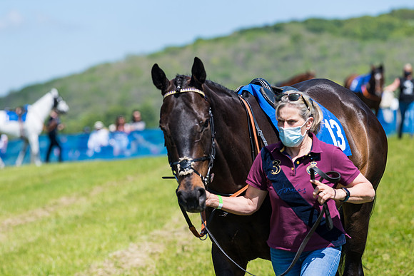 Race 1 - ORIENTAL CLUB OWNER-TRAINER CONDITIONS (20 of 144)